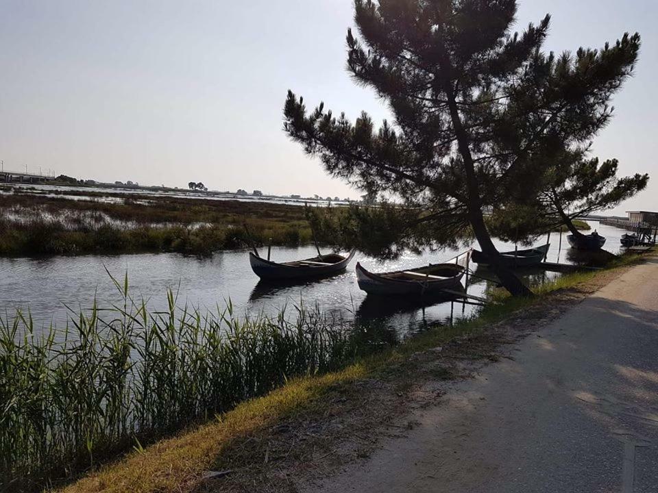Apartament Casa Da Ribeira Aveiro Zewnętrze zdjęcie